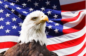 MAGA Make America Great Again Eagle